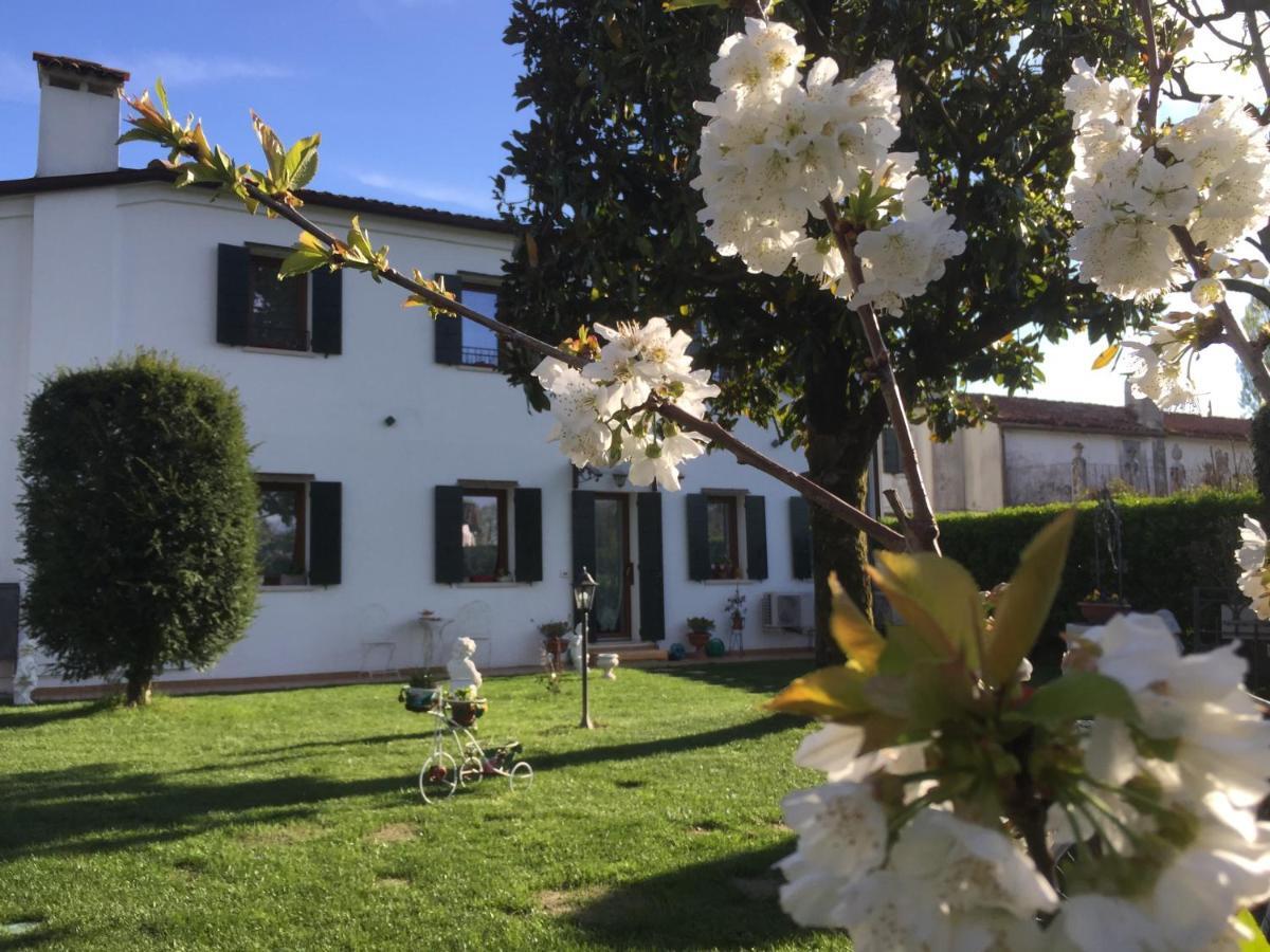 Dimora Naviglio Bed and Breakfast Dolo Εξωτερικό φωτογραφία